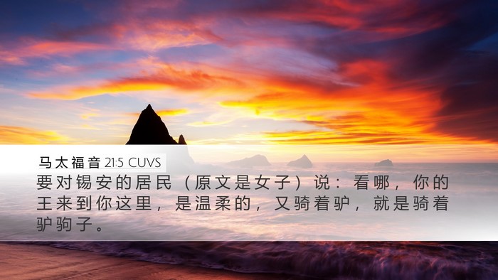 马 太 福 音 21:5 CUVS Desktop Wallpaper - 要 对 锡 安 的 居 民 （ 原 文 是 女 - Desktop Bible Verse Wallpaper