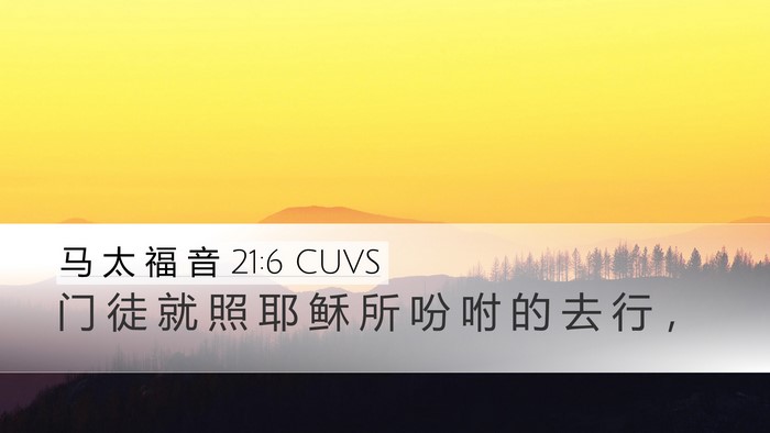 马 太 福 音 21:6 CUVS Bible Verse Image