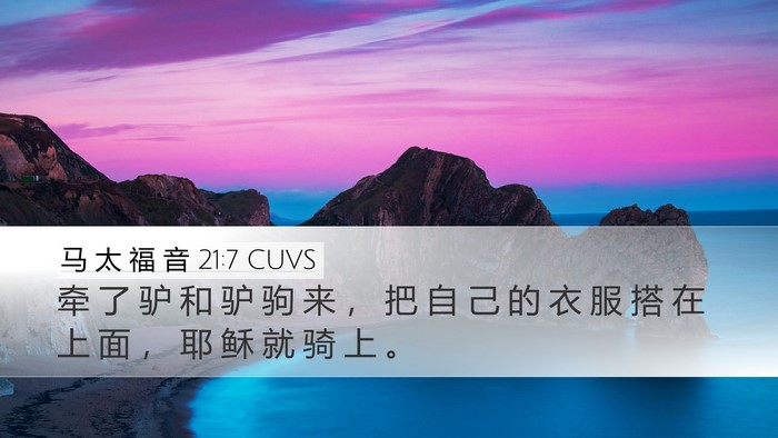 马 太 福 音 21:7 CUVS Desktop Wallpaper - 牵 了 驴 和 驴 驹 来 ， 把 自 己 的 - Desktop Bible Verse Wallpaper