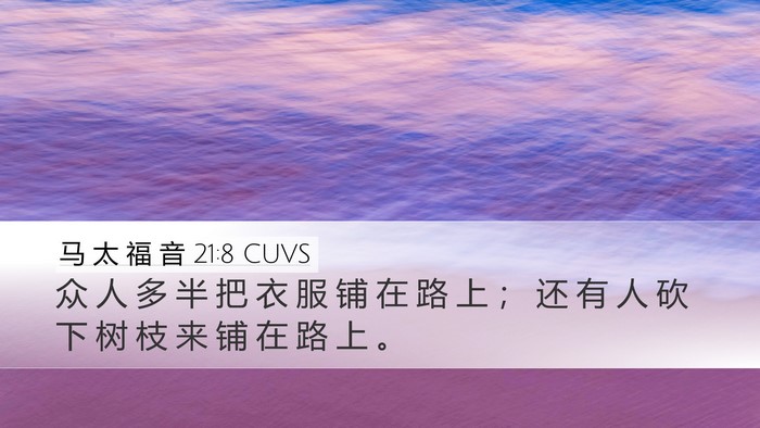 马 太 福 音 21:8 CUVS Desktop Wallpaper - 众 人 多 半 把 衣 服 铺 在 路 上 ； - Desktop Bible Verse Wallpaper