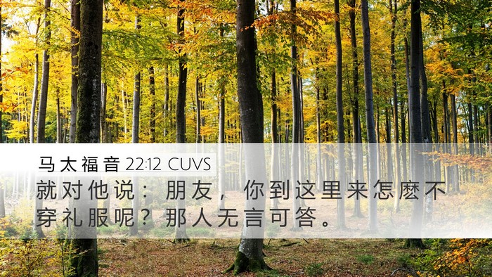 马 太 福 音 22:12 CUVS Bible Verse Image