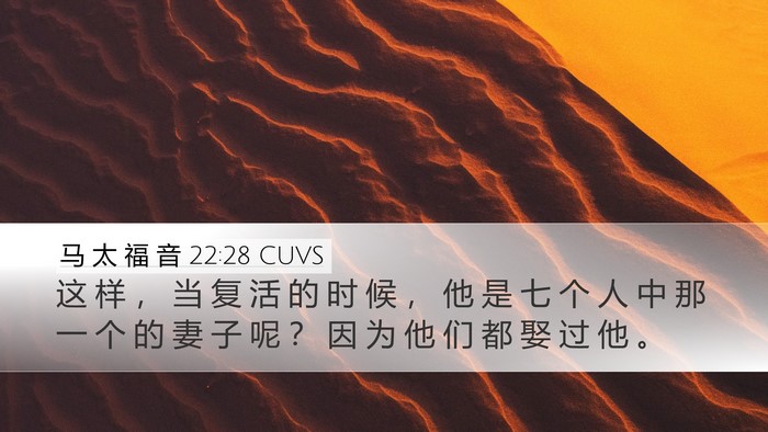马 太 福 音 22:28 CUVS Desktop Wallpaper - 这 样 ， 当 复 活 的 时 候 ， 他 是 - Desktop Bible Verse Wallpaper