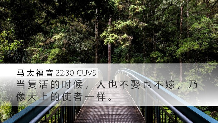 马 太 福 音 22:30 CUVS Bible Verse Image