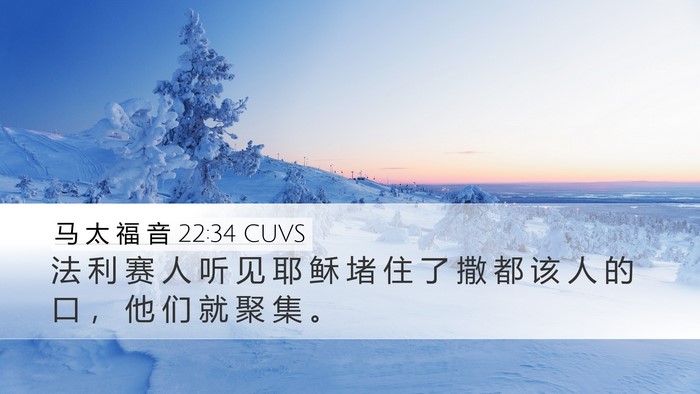 马 太 福 音 22:34 CUVS Bible Verse Image