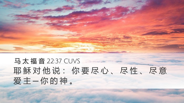 马 太 福 音 22:37 CUVS Bible Verse Image
