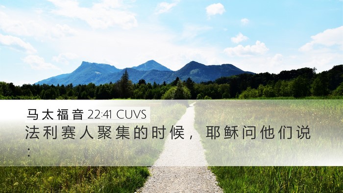 马 太 福 音 22:41 CUVS Bible Verse Image