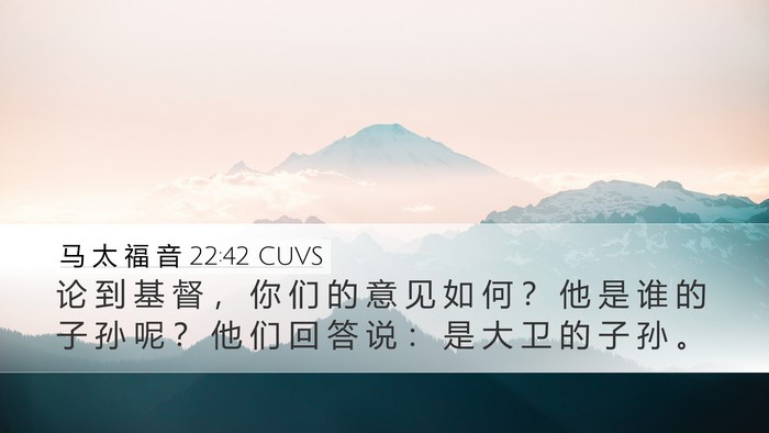 马 太 福 音 22:42 CUVS Bible Verse Image