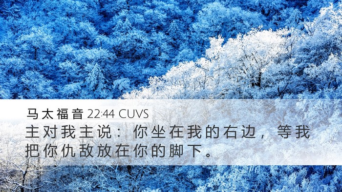 马 太 福 音 22:44 CUVS Bible Verse Image
