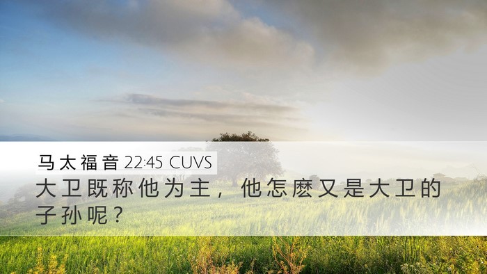 马 太 福 音 22:45 CUVS Desktop Wallpaper - 大 卫 既 称 他 为 主 ， 他 怎 麽 又 - Desktop Bible Verse Wallpaper