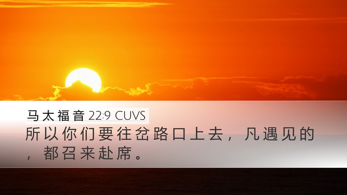 马 太 福 音 22:9 CUVS Bible Verse Image