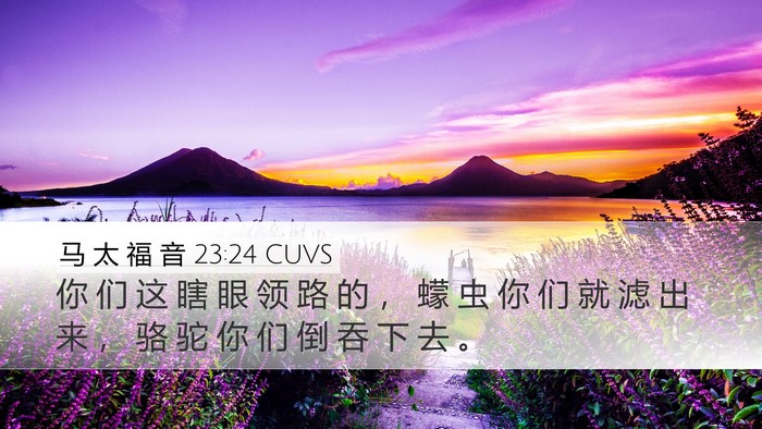 马 太 福 音 23:24 CUVS Desktop Wallpaper - 你 们 这 瞎 眼 领 路 的 ， 蠓 虫 你 - Desktop Bible Verse Wallpaper