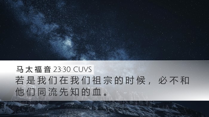 马 太 福 音 23:30 CUVS Bible Verse Image