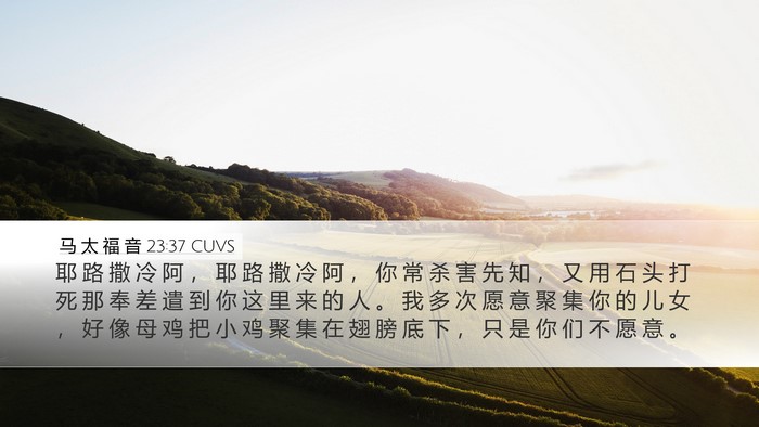 马 太 福 音 23:37 CUVS Bible Verse Image