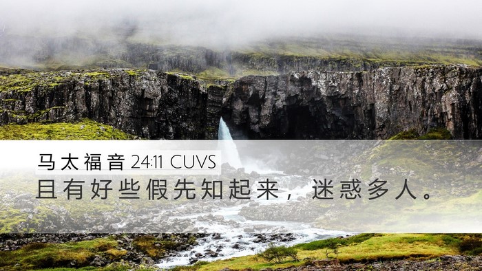 马 太 福 音 24:11 CUVS Bible Verse Image