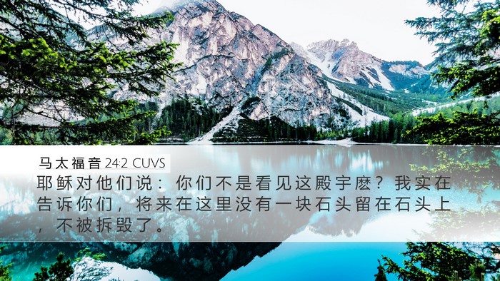 马 太 福 音 24:2 CUVS Bible Verse Image