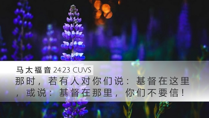马 太 福 音 24:23 CUVS Bible Verse Image