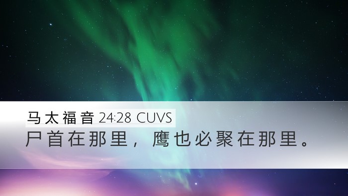 马 太 福 音 24:28 CUVS Bible Verse Image