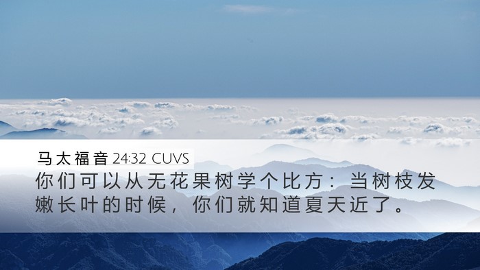 马 太 福 音 24:32 CUVS Bible Verse Image