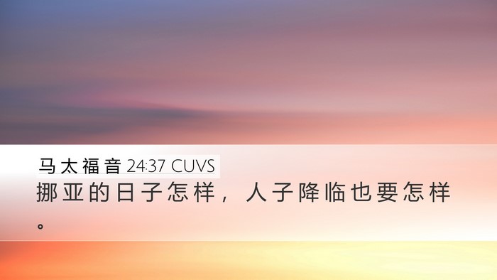 马 太 福 音 24:37 CUVS Bible Verse Image
