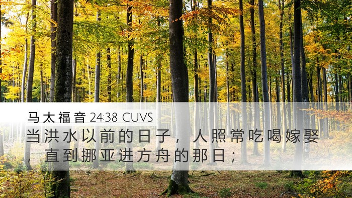 马 太 福 音 24:38 CUVS Bible Verse Image