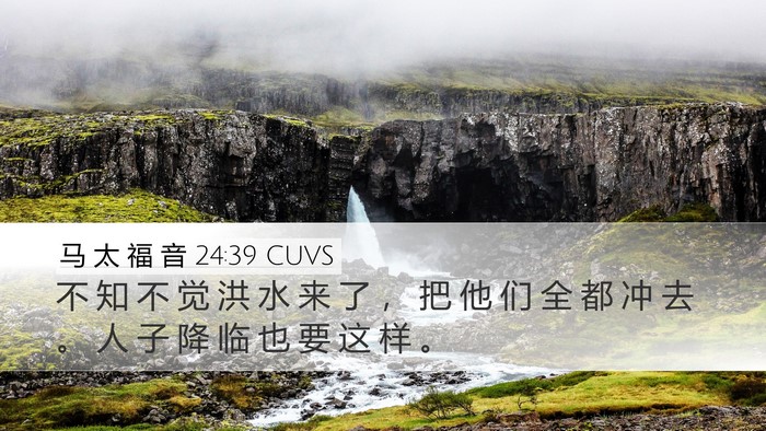 马 太 福 音 24:39 CUVS Bible Verse Image