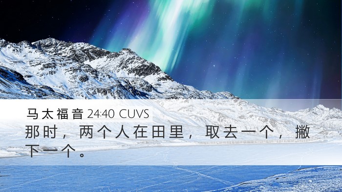 马 太 福 音 24:40 CUVS Bible Verse Image