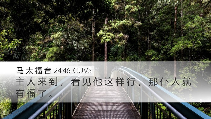 马 太 福 音 24:46 CUVS Bible Verse Image