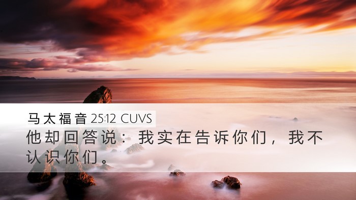 马 太 福 音 25:12 CUVS Desktop Wallpaper - 他 却 回 答 说 ： 我 实 在 告 诉 你 - Desktop Bible Verse Wallpaper