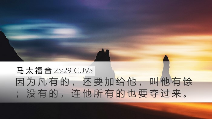 马 太 福 音 25:29 CUVS Bible Verse Image