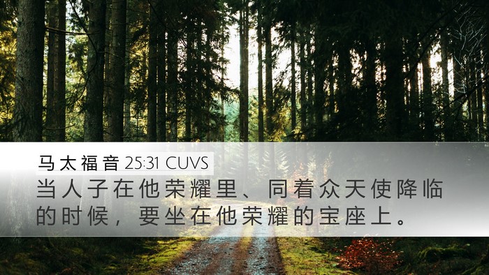 马 太 福 音 25:31 CUVS Bible Verse Image