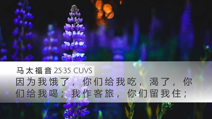 马 太 福 音 25:35 CUVS Bible Verse Image