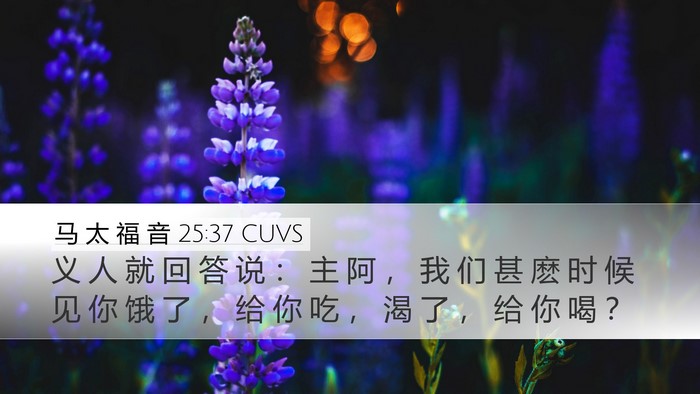 马 太 福 音 25:37 CUVS Desktop Wallpaper - 义 人 就 回 答 说 ： 主 阿 ， 我 们 - Desktop Bible Verse Wallpaper