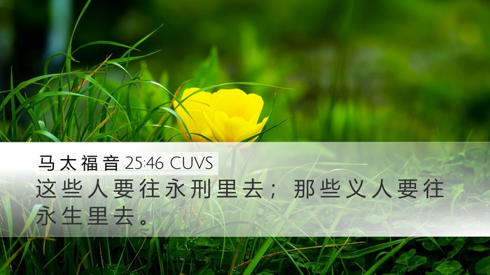 马 太 福 音 25:46 CUVS Bible Verse Image