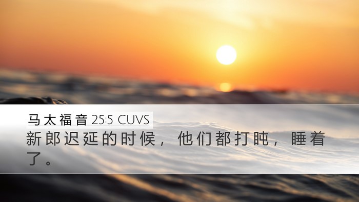 马 太 福 音 25:5 CUVS Bible Verse Image