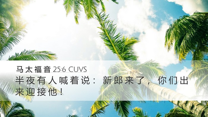 马 太 福 音 25:6 CUVS Desktop Wallpaper - 半 夜 有 人 喊 着 说 ： 新 郎 来 了 - Desktop Bible Verse Wallpaper