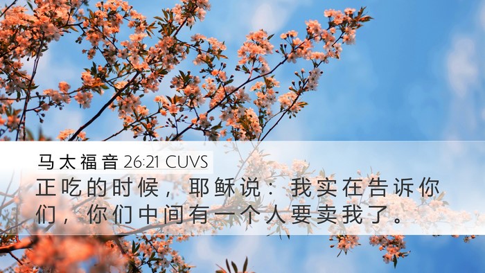 马 太 福 音 26:21 CUVS Desktop Wallpaper - 正 吃 的 时 候 ， 耶 稣 说 ： 我 实 - Desktop Bible Verse Wallpaper