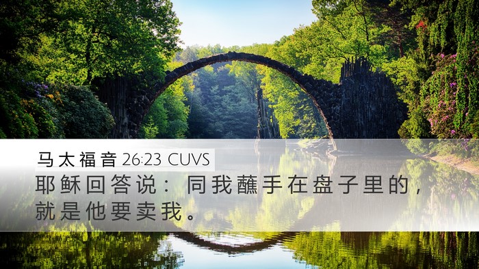 马 太 福 音 26:23 CUVS Bible Verse Image