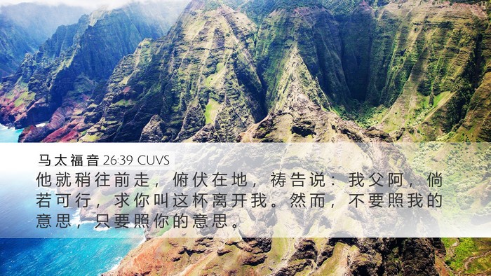 马 太 福 音 26:39 CUVS Bible Verse Image