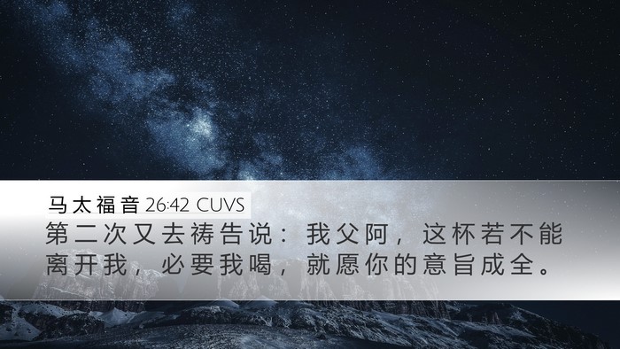 马 太 福 音 26:42 CUVS Bible Verse Image