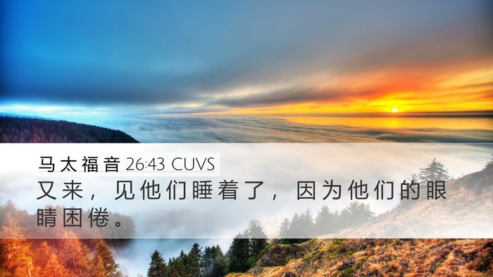 马 太 福 音 26:43 CUVS Bible Verse Image