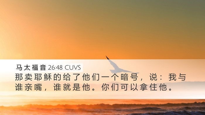 马 太 福 音 26:48 CUVS Bible Verse Image