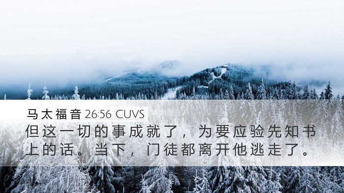 马 太 福 音 26:56 CUVS Bible Verse Image