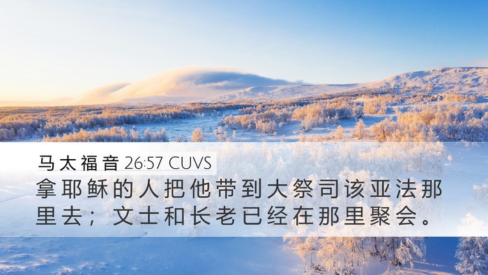 马 太 福 音 26:57 CUVS Bible Verse Image