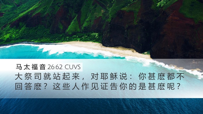 马 太 福 音 26:62 CUVS Desktop Wallpaper - 大 祭 司 就 站 起 来 ， 对 耶 稣 说 - Desktop Bible Verse Wallpaper