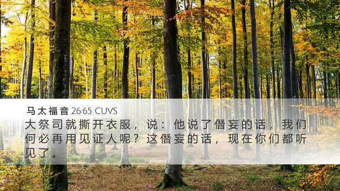 马 太 福 音 26:65 CUVS Bible Verse Image