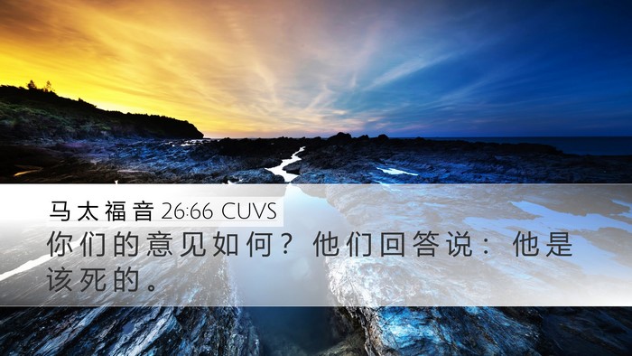 马 太 福 音 26:66 CUVS Bible Verse Image