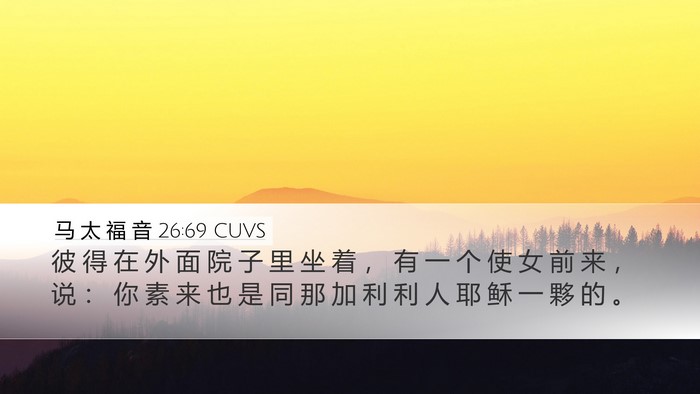 马 太 福 音 26:69 CUVS Desktop Wallpaper - 彼 得 在 外 面 院 子 里 坐 着 ， 有 - Desktop Bible Verse Wallpaper