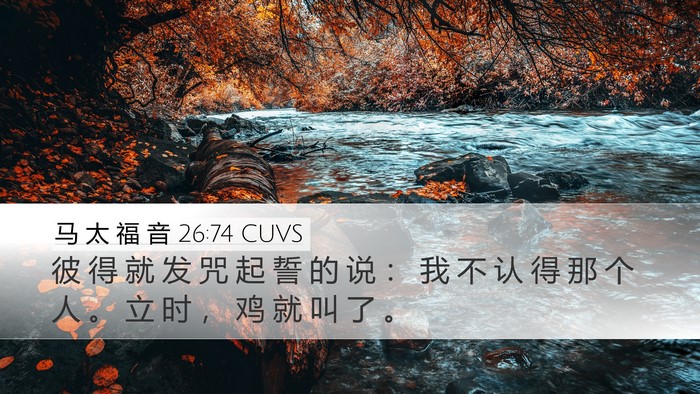 马 太 福 音 26:74 CUVS Desktop Wallpaper - 彼 得 就 发 咒 起 誓 的 说 ： 我 不 - Desktop Bible Verse Wallpaper