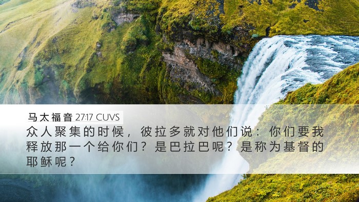 马 太 福 音 27:17 CUVS Bible Verse Image