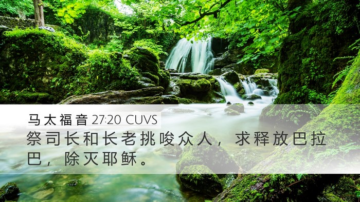 马 太 福 音 27:20 CUVS Bible Verse Image
